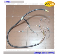 Câblage Boxer DP/PG