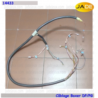 Câblage Boxer DP/PG